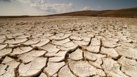 Renewal in the Desert